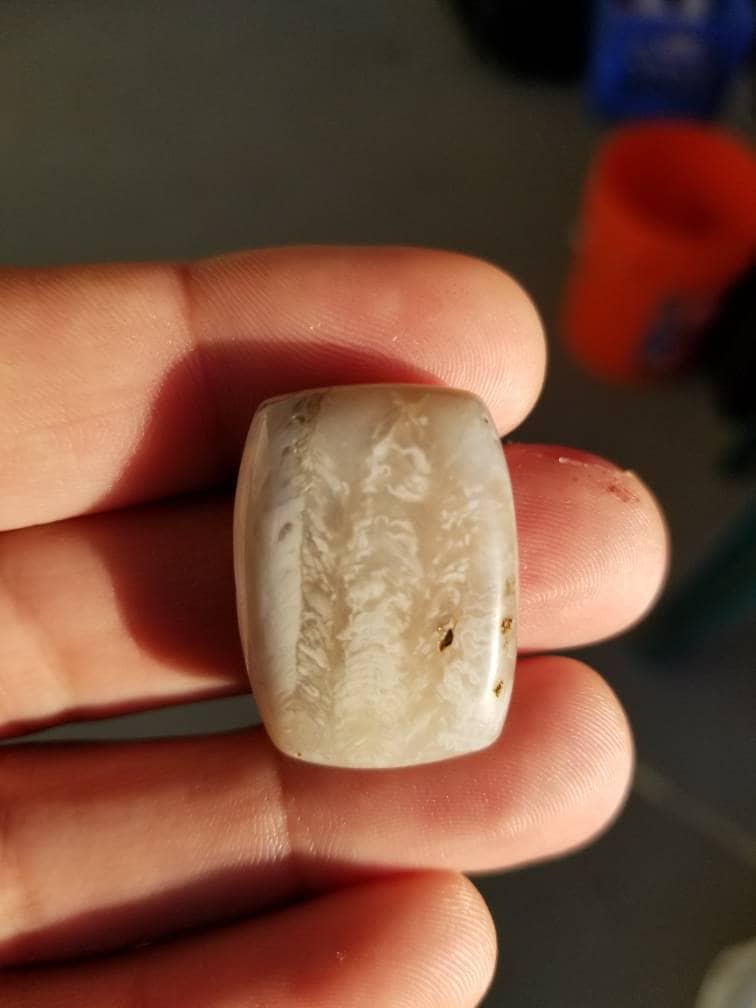 41 ct fossil coral rectangle cushion cabochon