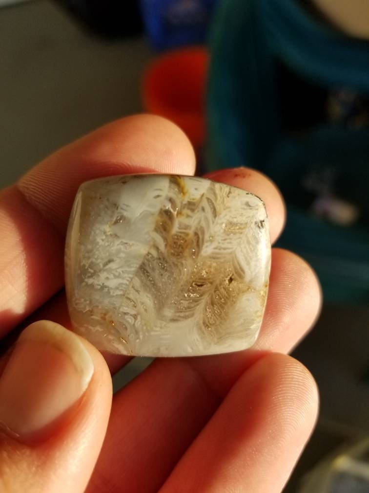 64 ct fossil coral square cushion cut cabochon