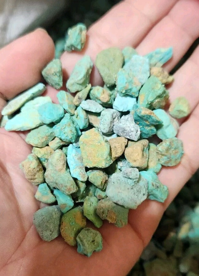 1/4lb Lot Sonora Turquoise Rough Bulk