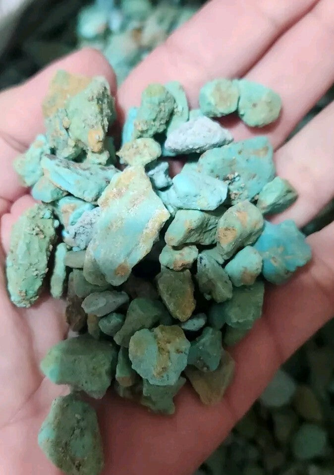 1/4lb Lot Sonora Turquoise Rough Bulk