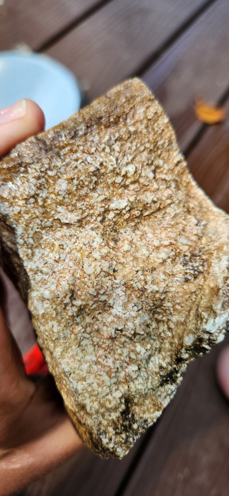 2lb 10oz White Dino Bone Gembone Fossil Lapidary Rough