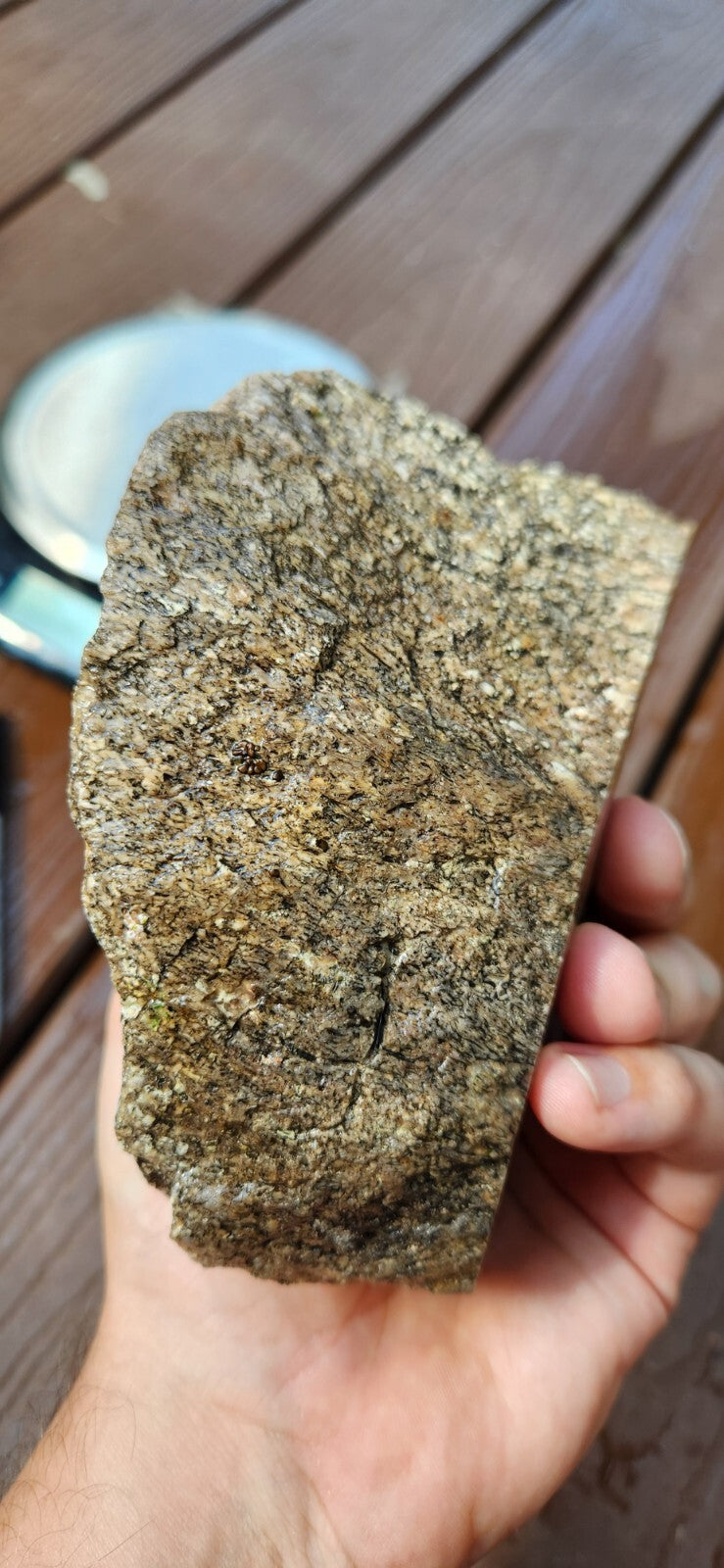 2lb 10oz White Dino Bone Gembone Fossil Lapidary Rough