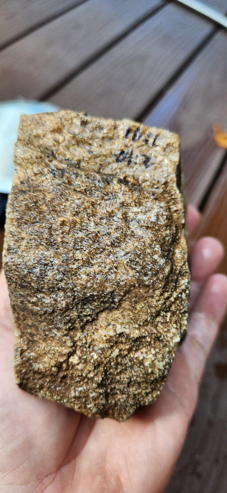 2lb 10oz White Dino Bone Gembone Fossil Lapidary Rough