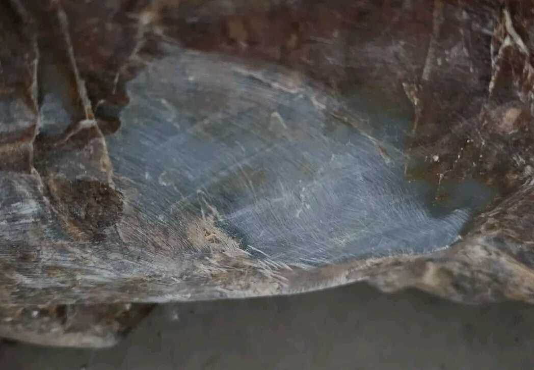 95lb White Mutton Fat Jade Boulder Nephrite