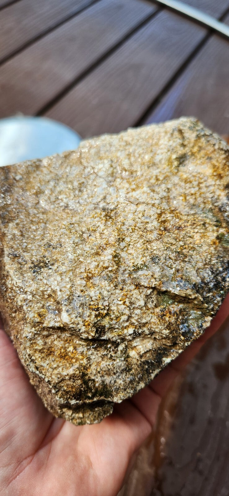 2lb 10oz White Dino Bone Gembone Fossil Lapidary Rough