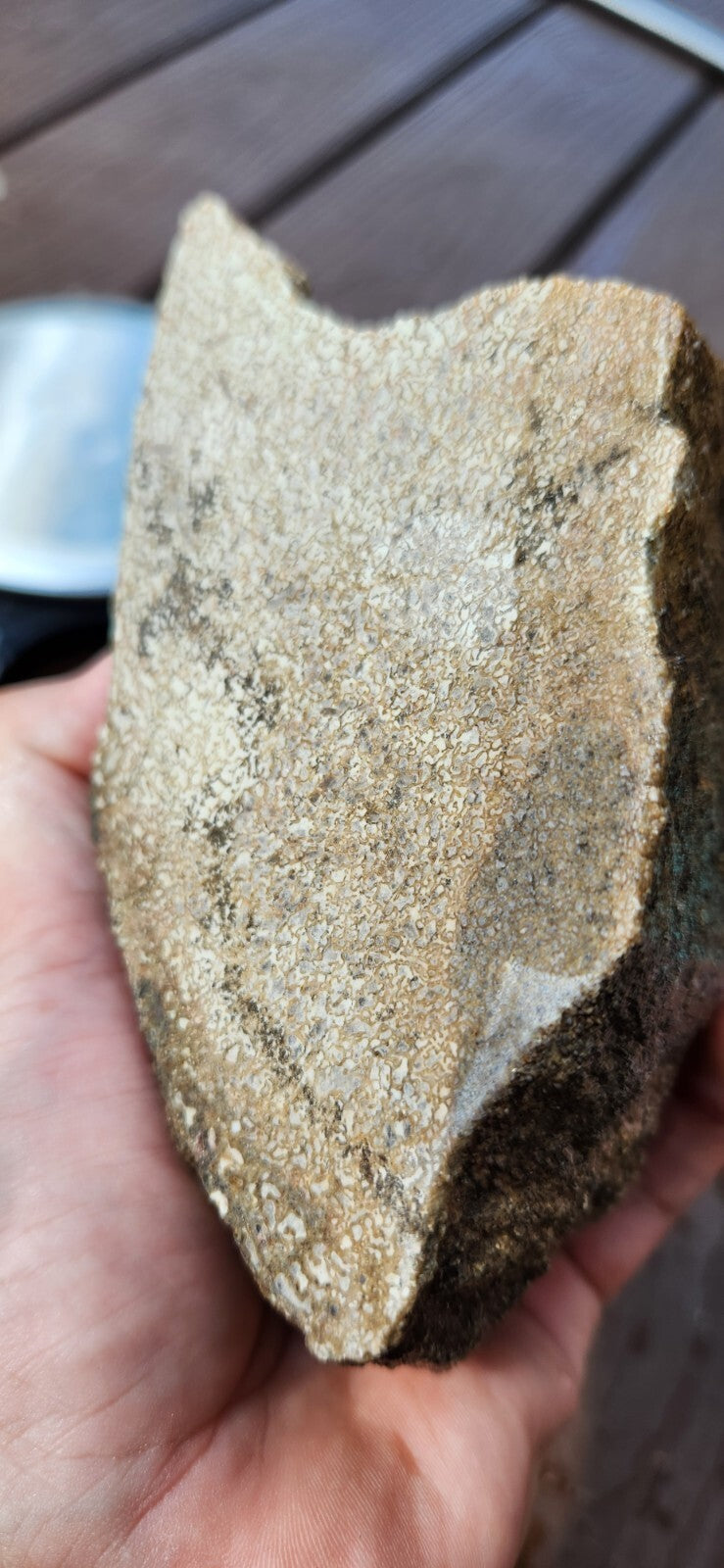 2lb 10oz White Dino Bone Gembone Fossil Lapidary Rough