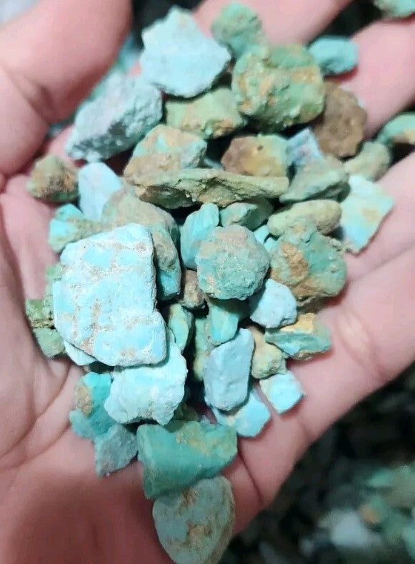 1/4lb Lot Sonora Turquoise Rough Bulk