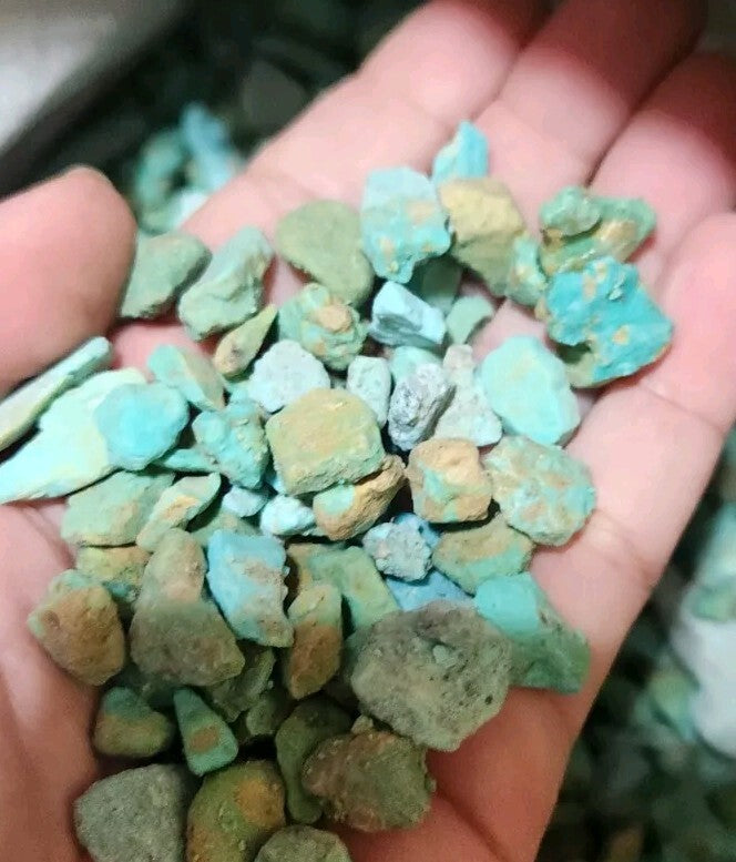 1/4lb Lot Sonora Turquoise Rough Bulk