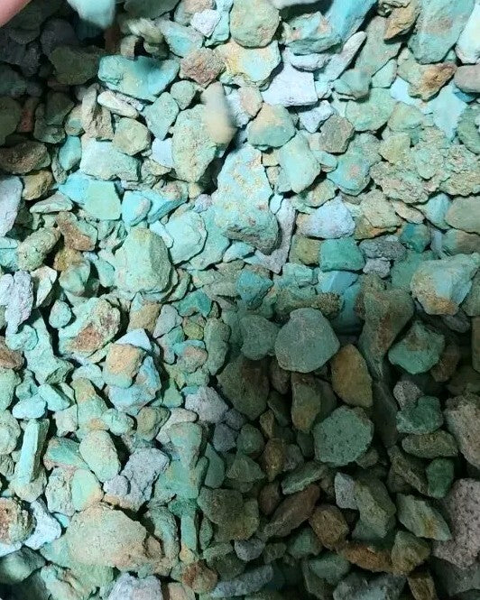 1/4lb Lot Sonora Turquoise Rough Bulk