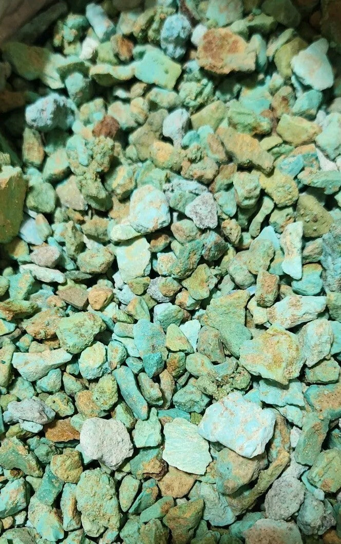 1/4lb Lot Sonora Turquoise Rough Bulk
