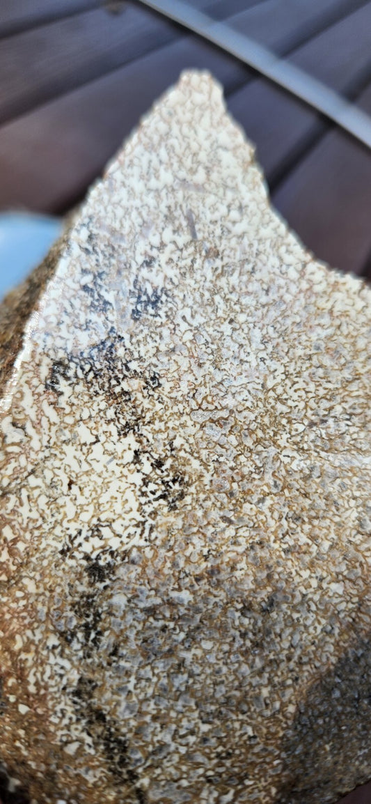 2lb 10oz White Dino Bone Gembone Fossil Lapidary Rough