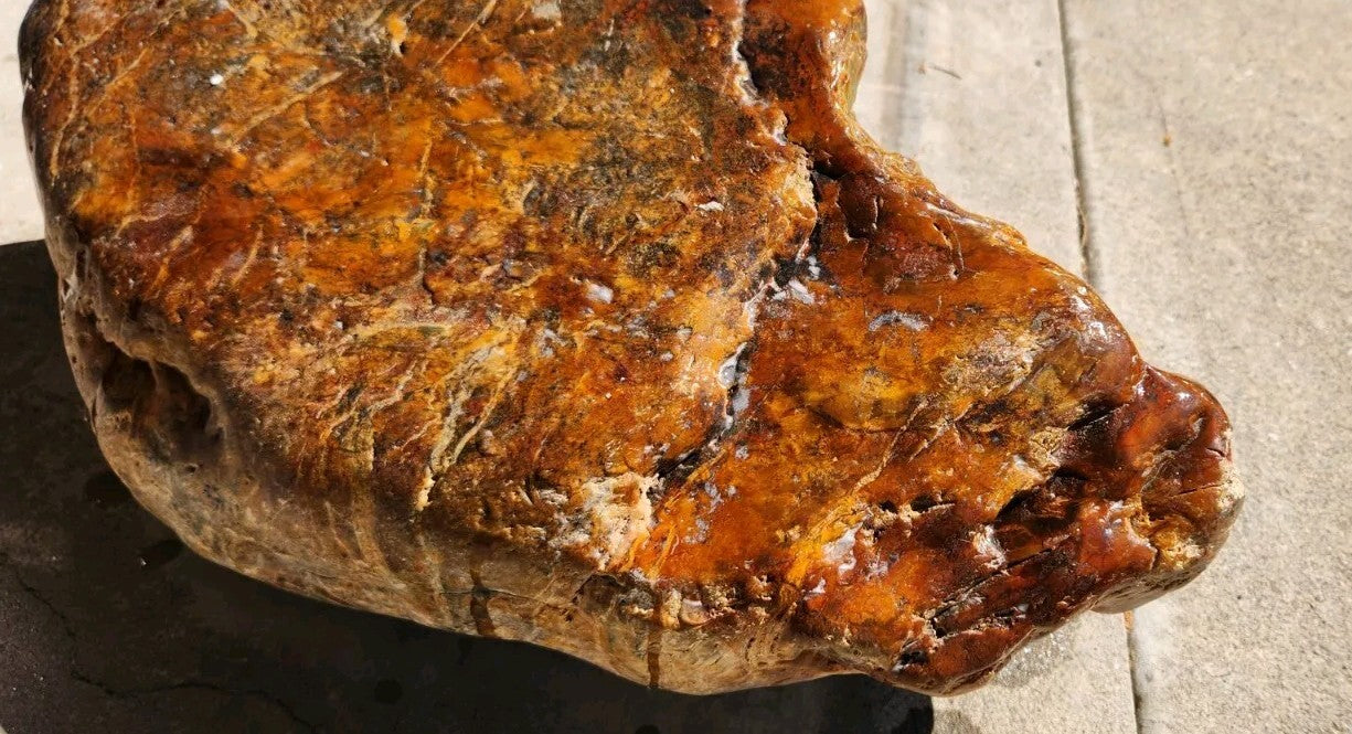 95lb White Mutton Fat Jade Boulder Nephrite