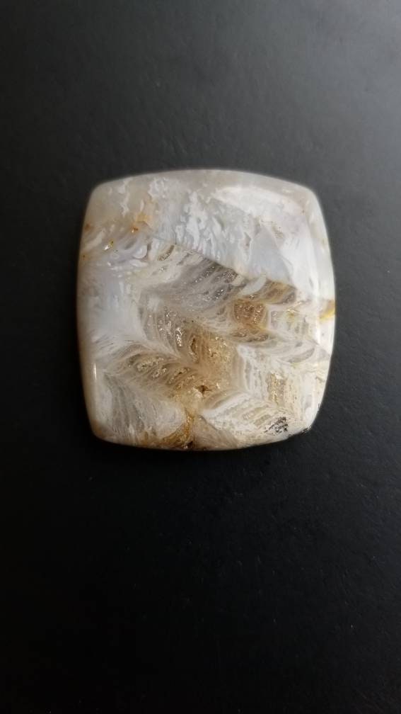 64 ct fossil coral square cushion cut cabochon