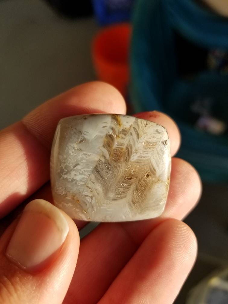 64 ct fossil coral square cushion cut cabochon