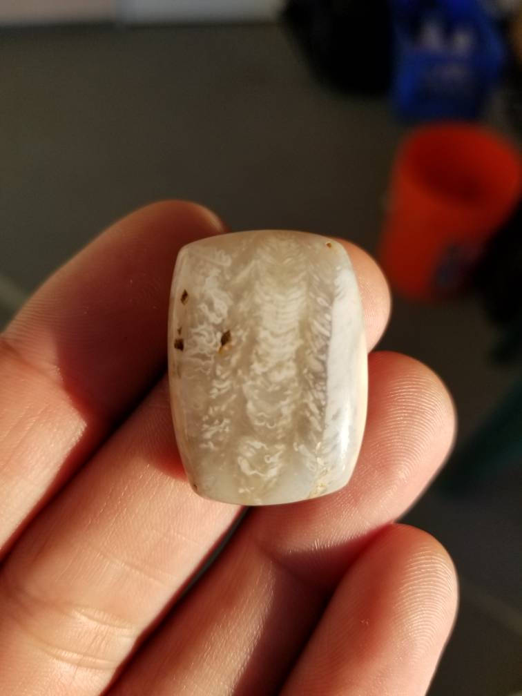 41 ct fossil coral rectangle cushion cabochon