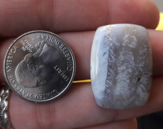 41 ct fossil coral rectangle cushion cabochon