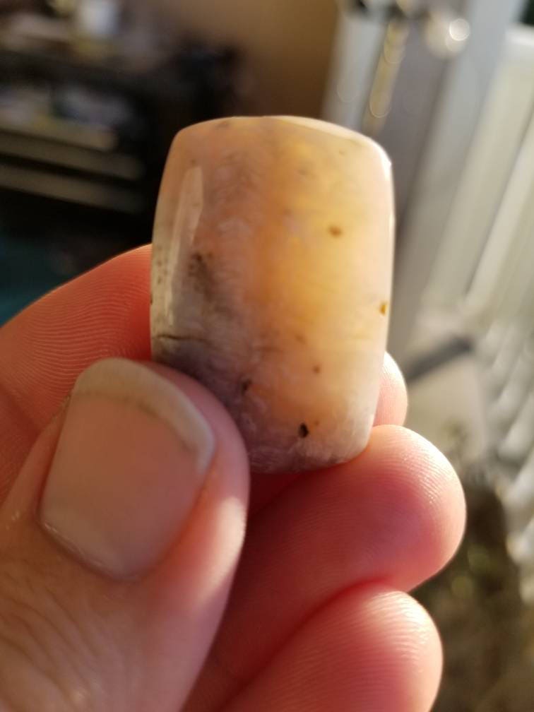 53ct fossil coral rectangle cushion cabochon