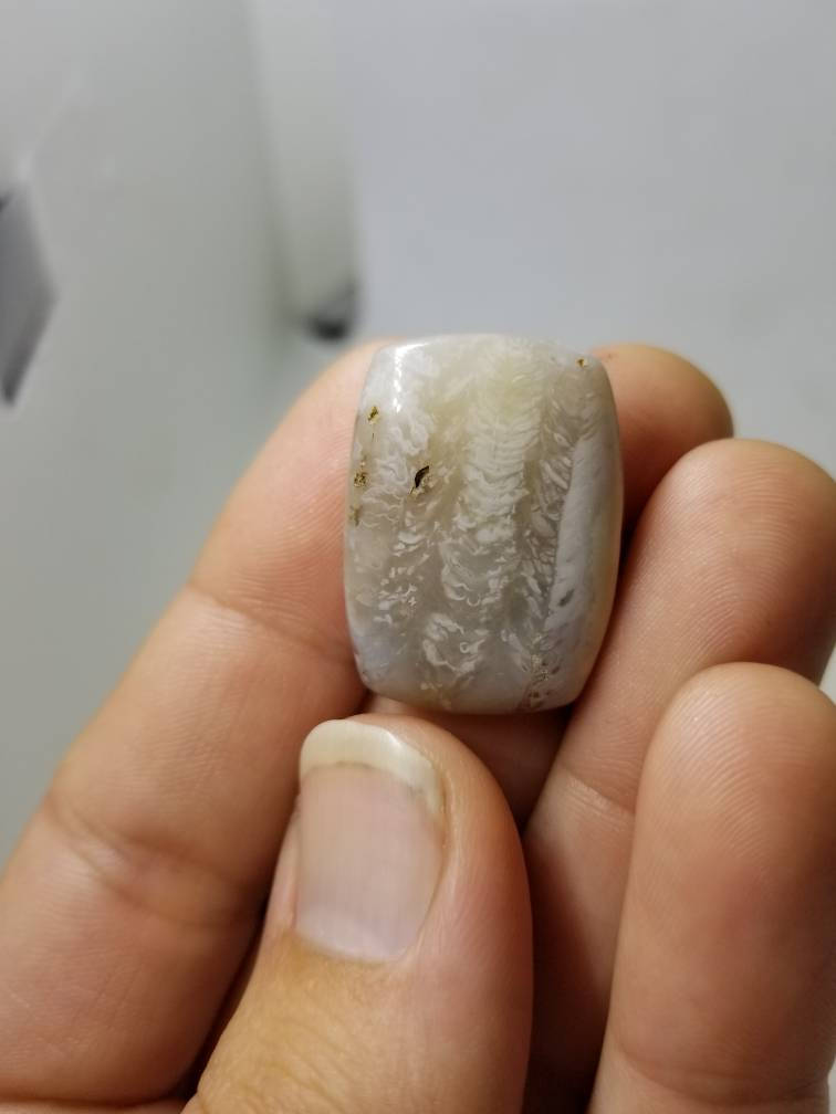 41 ct fossil coral rectangle cushion cabochon