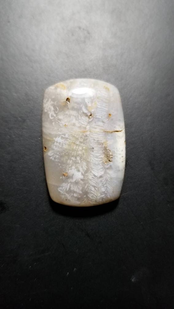 53ct fossil coral rectangle cushion cabochon