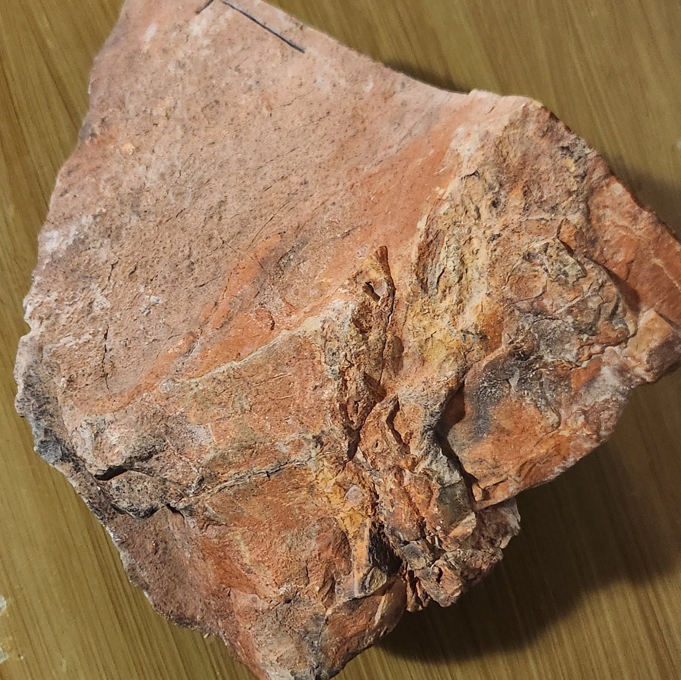 14lb Wyoming black jade with pseudomorphs carving rough