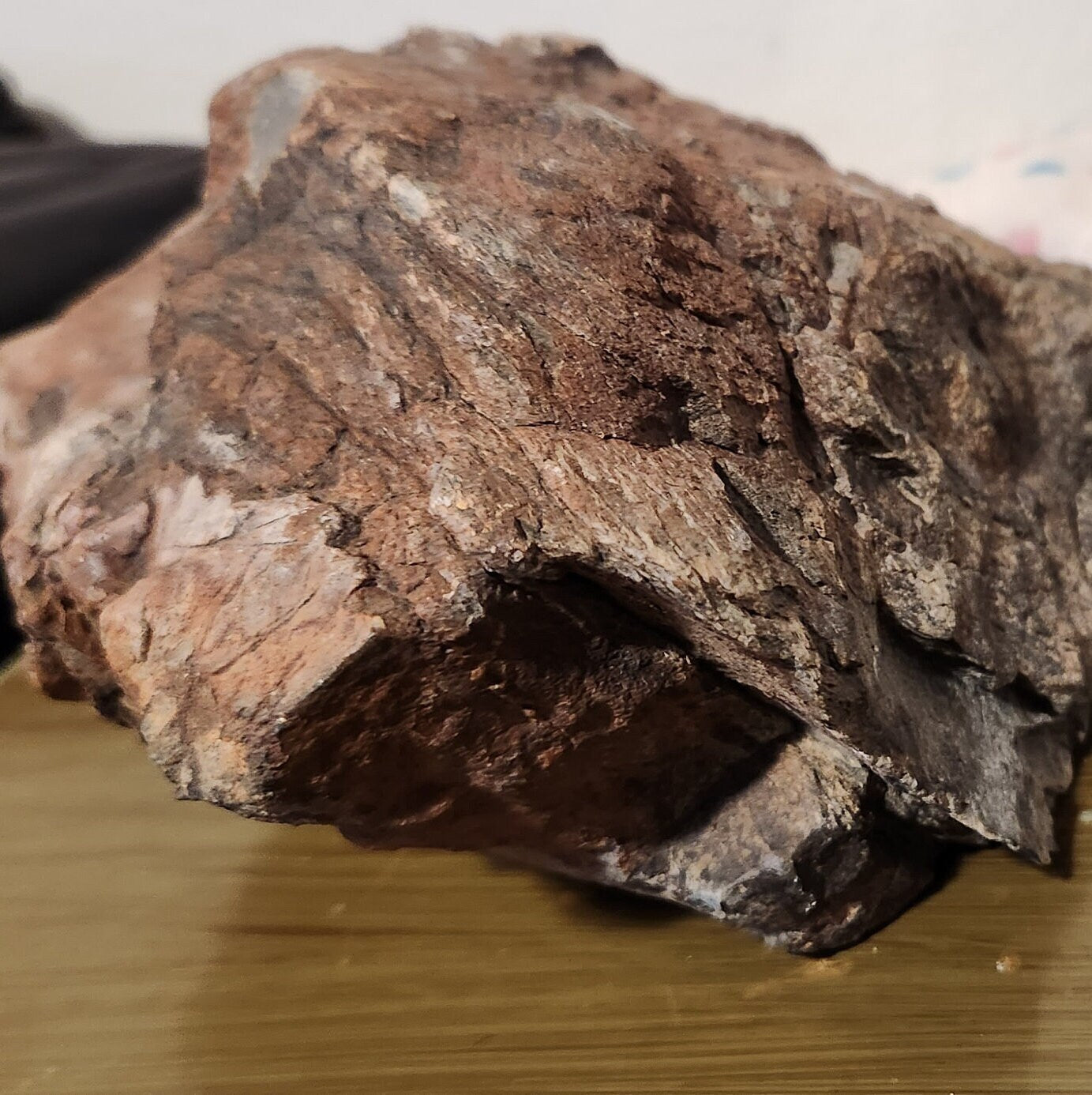 14lb Wyoming black jade with pseudomorphs carving rough