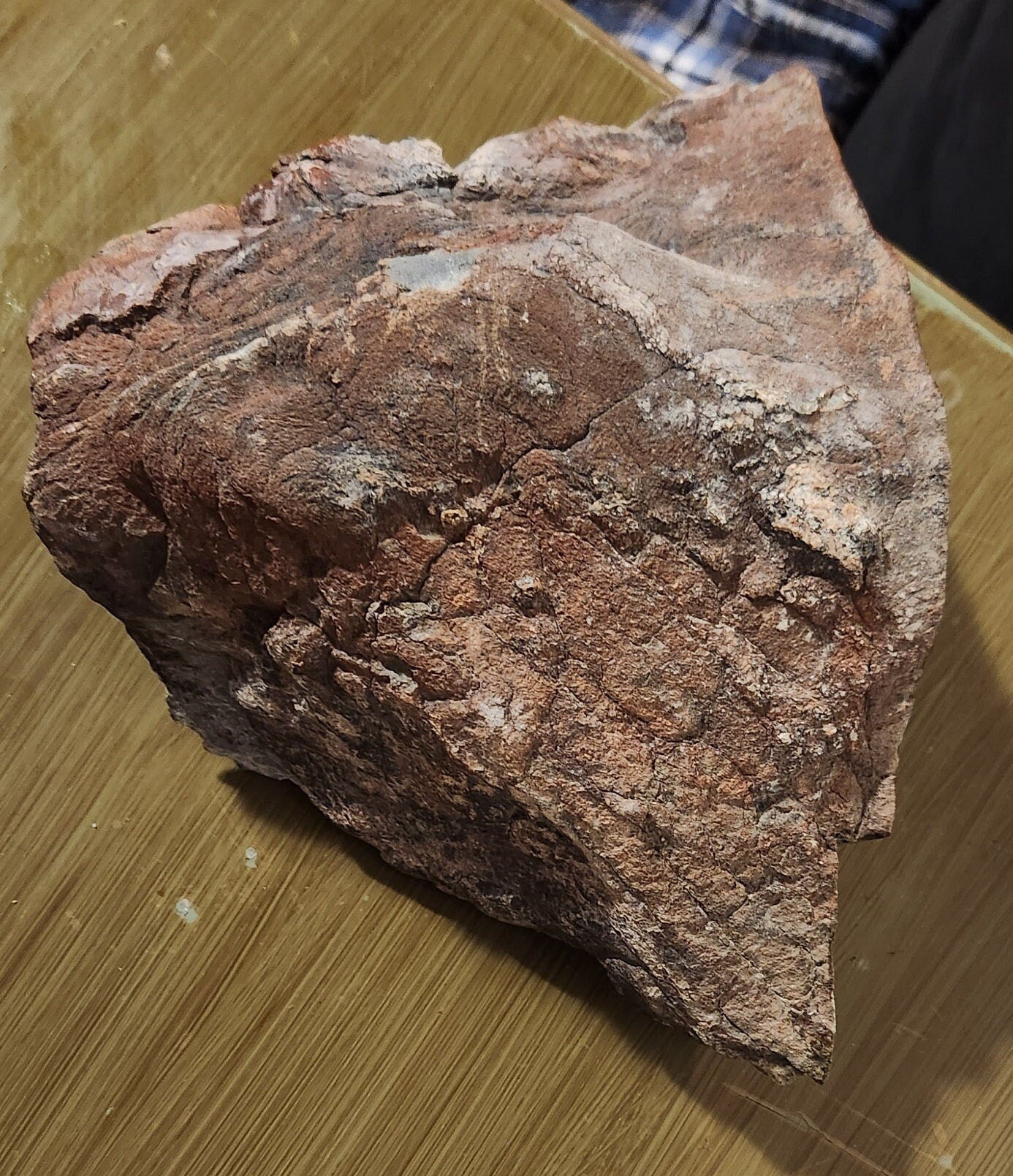 14lb Wyoming black jade with pseudomorphs carving rough